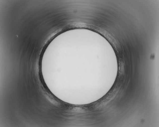 X0000116820390201001151209