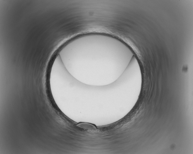 X0000116820391201001151209