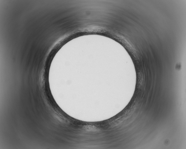 X0000116820392201001151209