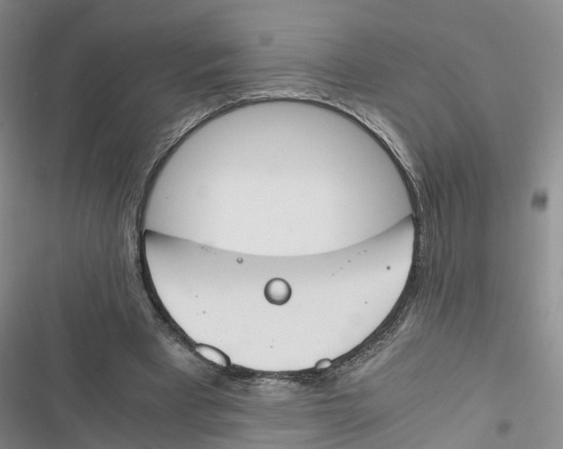 X0000116820393201001151209