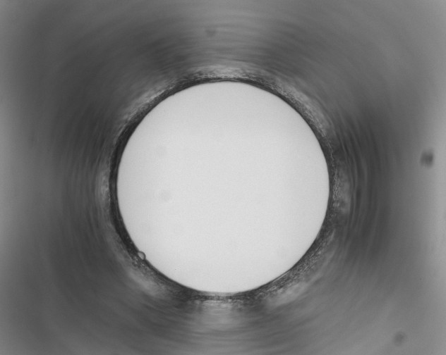 X0000116820394201001151209