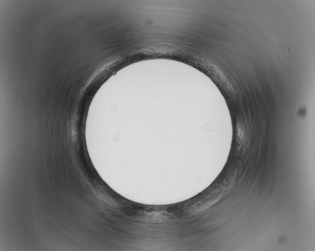 X0000116820396201001151209