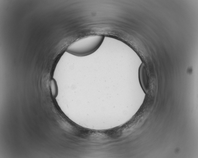 X0000116820397201001151209