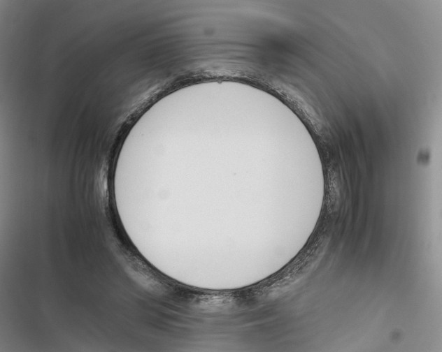 X0000116820398201001151209