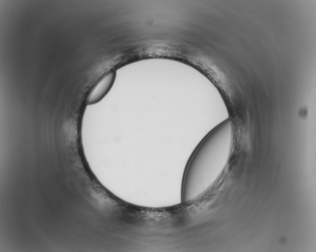 X0000116820401201001151209