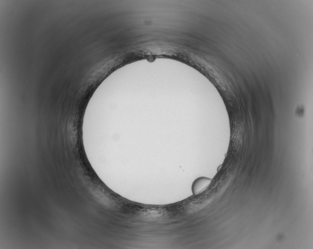 X0000116820402201001151209