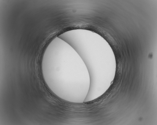 X0000116820403201001151209