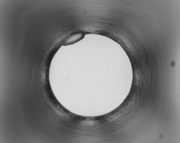 X0000116820404201001151209