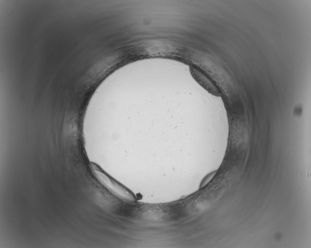 X0000116820405201001151209