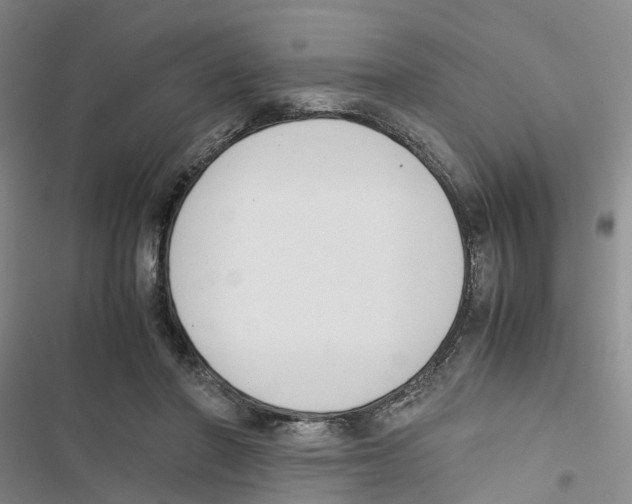 X0000116820406201001151209