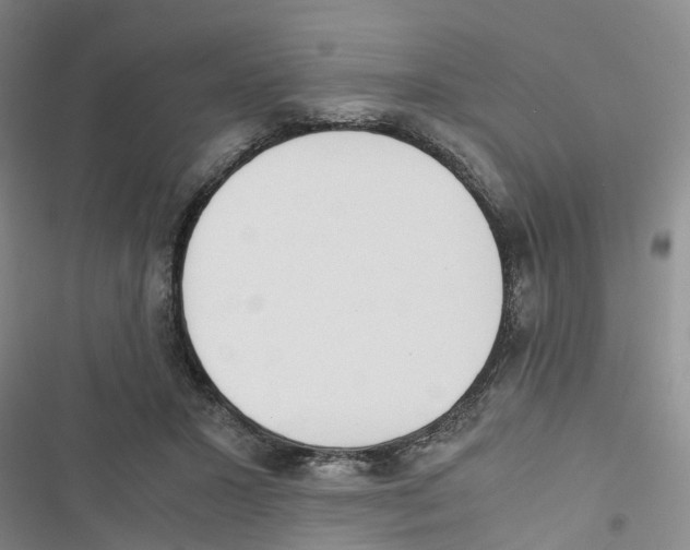 X0000116820407201001151209