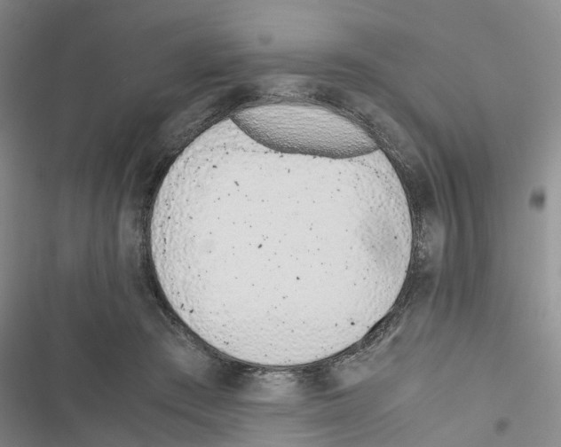 X0000116820409201001151209