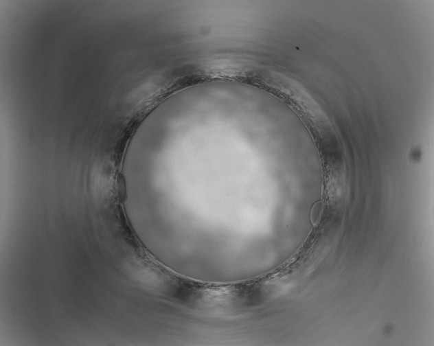 X0000116820411201001151209