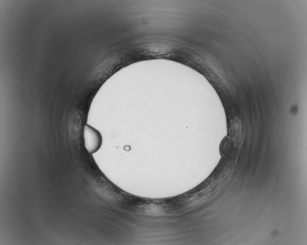 X0000116820412201001151209