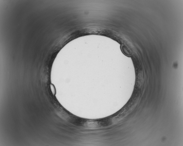 X0000116820413201001151209