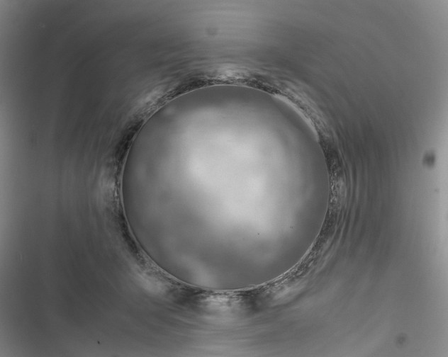 X0000116820415201001151209