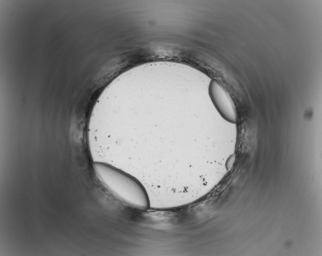 X0000116820417201001151209