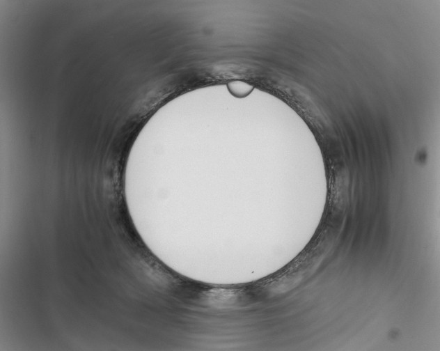 X0000116820418201001151209