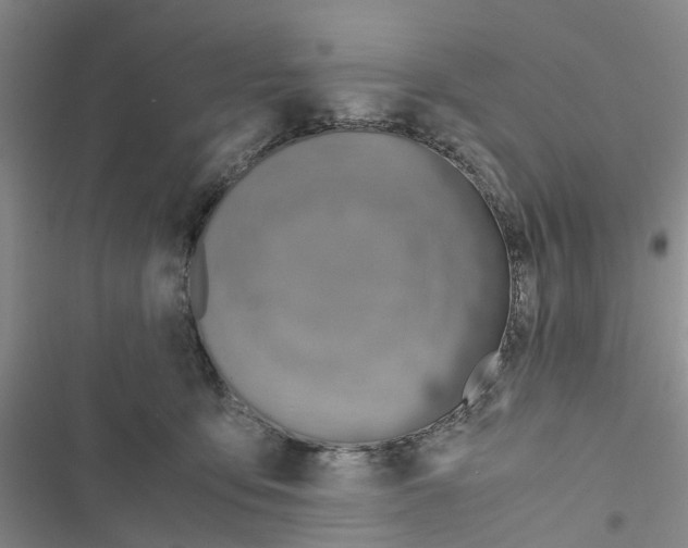 X0000116820419201001151209