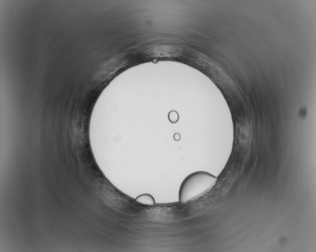 X0000116820422201001151209