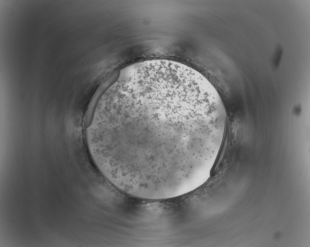 X0000116820423201001151209