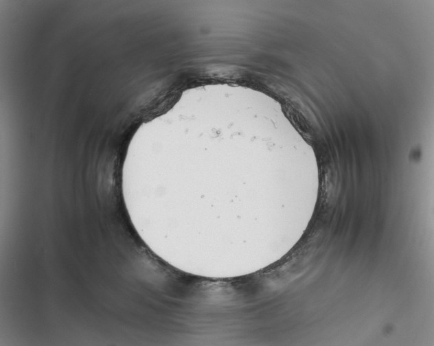 X0000116820424201001151209