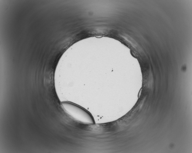 X0000116820425201001151209