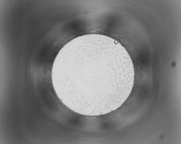 X0000116820427201001151209