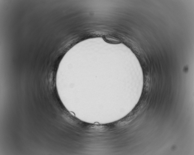 X0000116820428201001151209