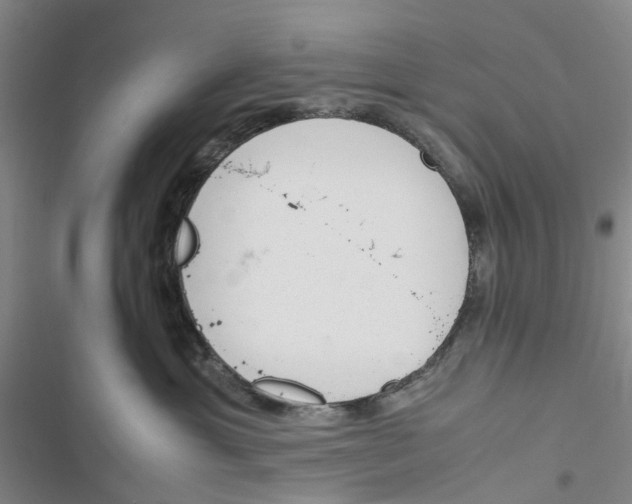 X0000116820429201001151209