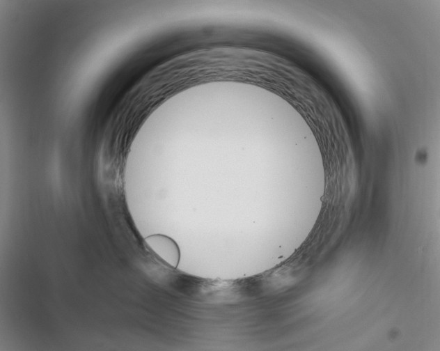 X0000116820431201001151209