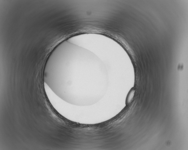 X0000116820433201001151208