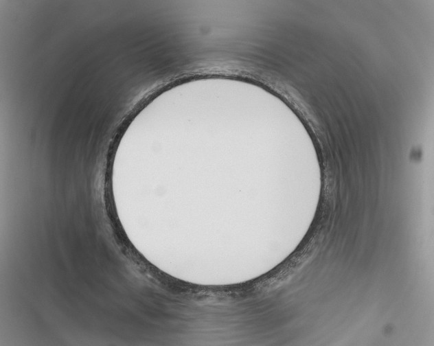 X0000116820434201001151208