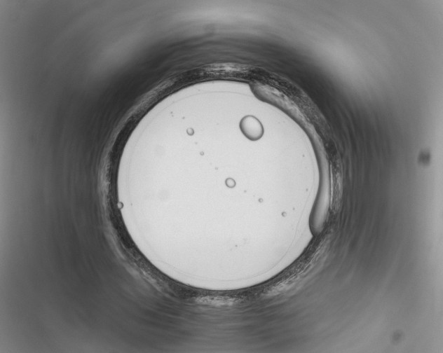 X0000116820435201001151208