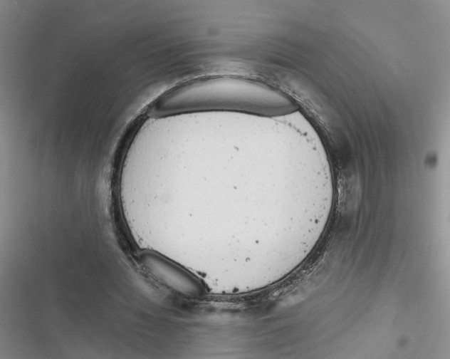 X0000116820436201001151208