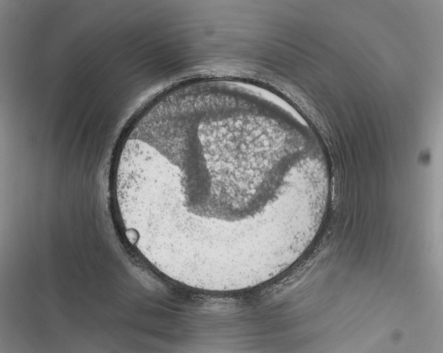 X0000116820438201001151208