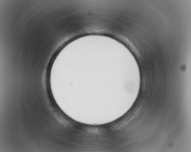 X0000116820439201001151208