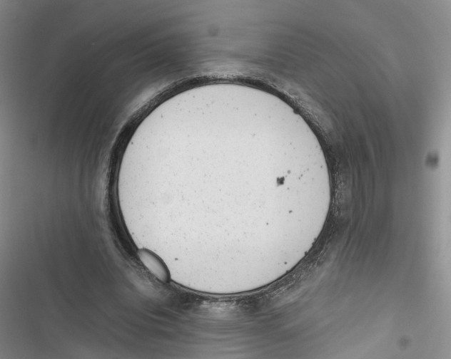 X0000116820440201001151208