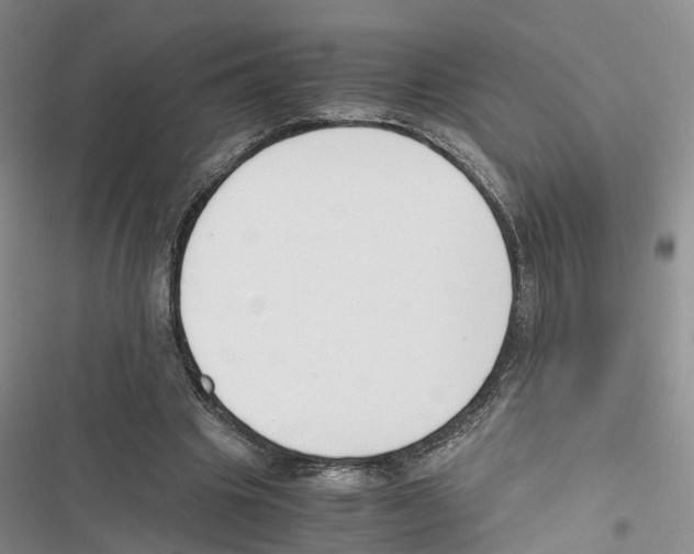 X0000116820441201001151208