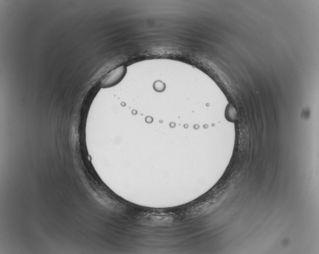 X0000116820443201001151208