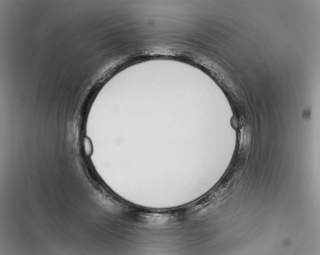 X0000116820444201001151208