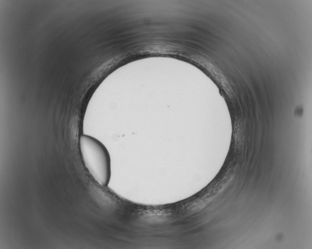 X0000116820445201001151208