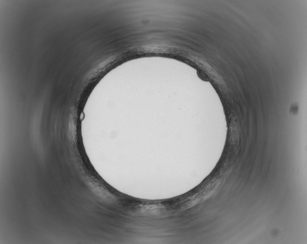 X0000116820446201001151208