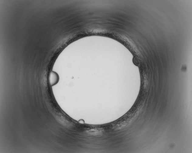 X0000116820447201001151208