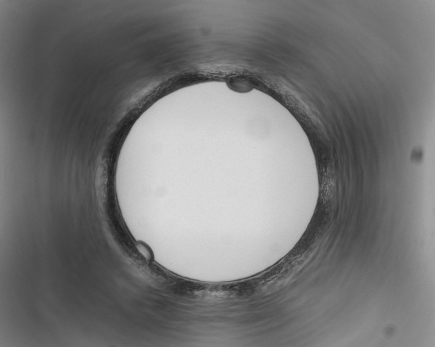 X0000116820448201001151208