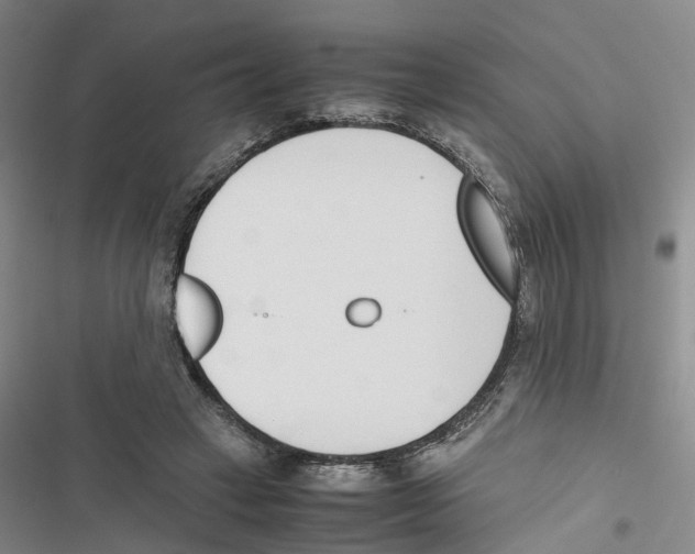 X0000116820449201001151208