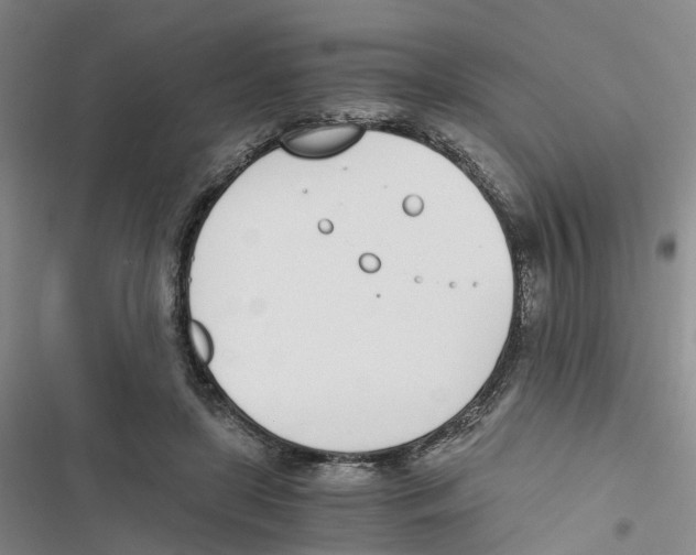 X0000116820451201001151208