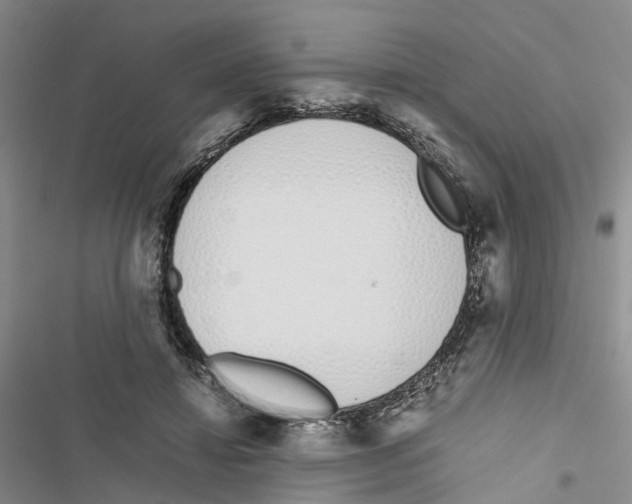 X0000116820452201001151208