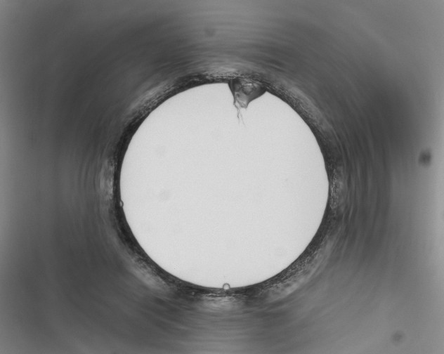 X0000116820454201001151208