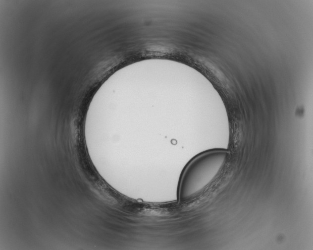 X0000116820455201001151208